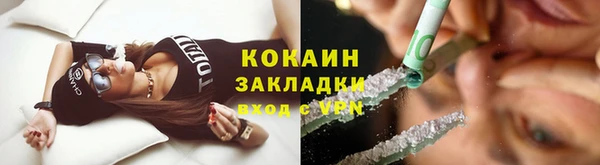 индика Белокуриха